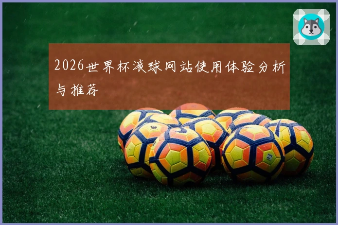 2026世界杯滚球网站使用体验分析与推荐