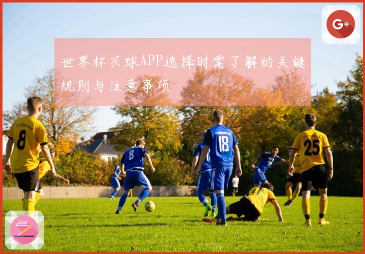 世界杯买球APP选择时需了解的关键规则与注意事项