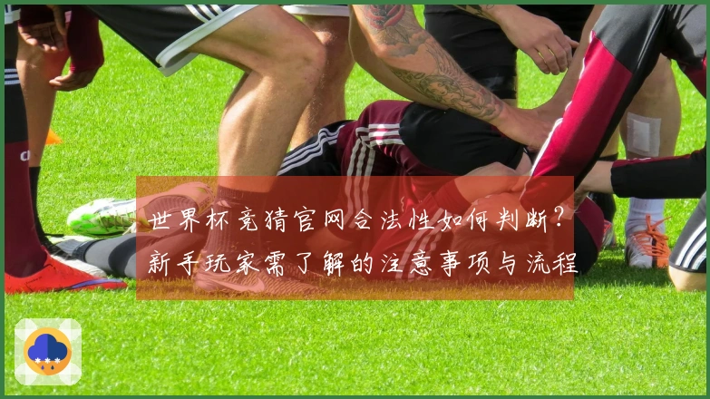 世界杯竞猜官网合法性如何判断?新手玩家需了解的注意事项与流程