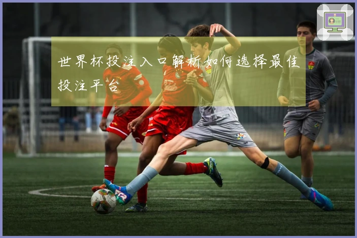 世界杯投注入口解析如何选择最佳投注平台