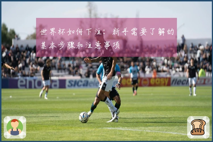 世界杯如何下注:新手需要了解的基本步骤和注意事项