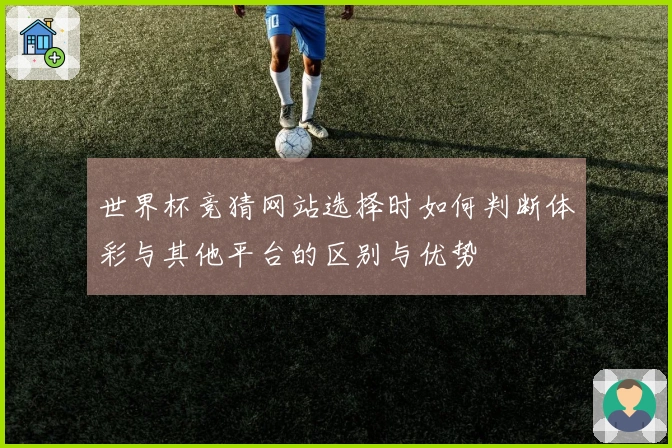 世界杯竞猜网站选择时如何判断体彩与其他平台的区别与优势